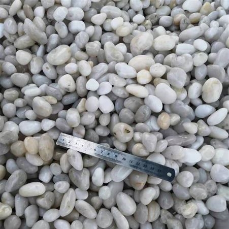 黑色砾石卵石 承托层鹅卵石滤料 大型鹅卵石产地