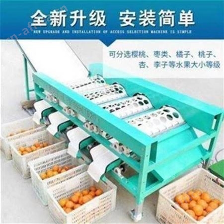 果蔬分选机多功能选果机分级机水果大小筛选设备水果筛分设备
