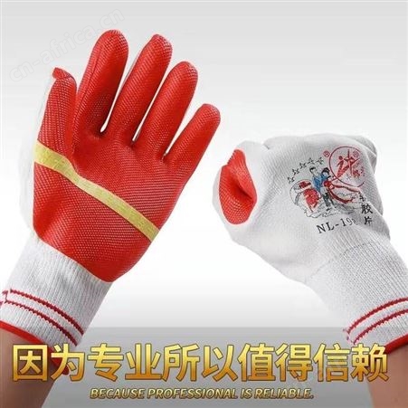 牛郎星手套12双装