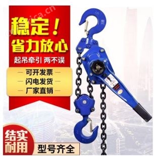 手扳环链葫芦 欢迎在线咨询