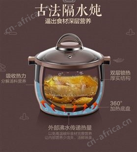 Bear小熊DDZ-B45Z1紫砂锅电炖盅隔水炖全自动家用大容量济南