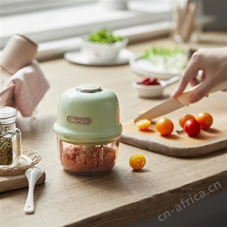 Bear小熊QSJ-E40B1绞蒜蓉机电动无线绞肉辅食家用小型搅蒜泥器