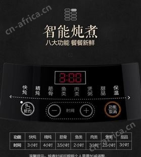 Bear小熊DDZ-B45Z1紫砂锅电炖盅隔水炖全自动家用大容量济南