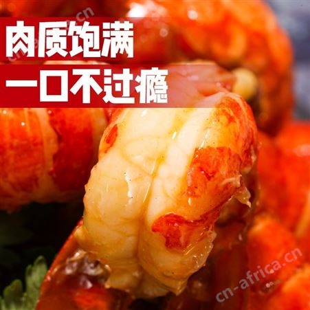 【8罐/99.9元】麻辣小龙虾尾250克熟食加热即食冷冻香辣