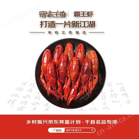 宿有千香霸王虾蒜蓉小龙虾750g净虾500g4-6钱20-2kg顺丰包邮到家