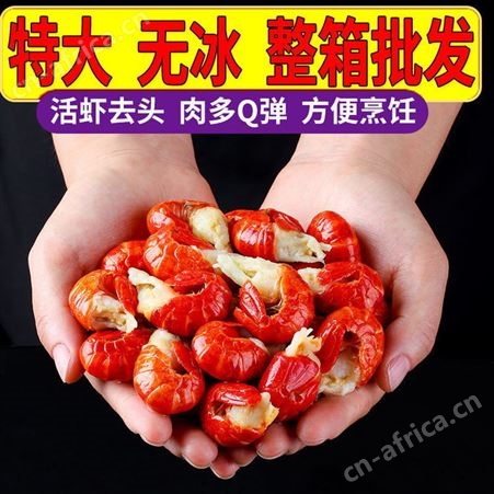 美国进口电子天平