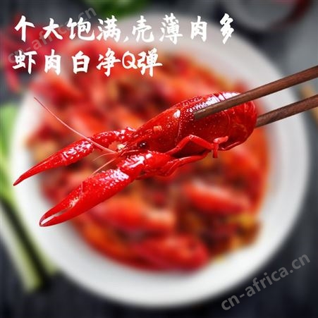 愚哥麻辣小龙虾4-6钱鄱阳湖香辣蒜蓉大虾700g盒装即食熟食整虾