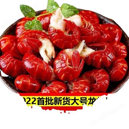 荆门产特大龙蝦尾无冰衣龙虾尾冷冻鲜活速冻熟冻虾球麻辣小龙虾