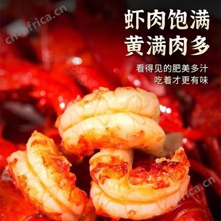 麻辣小龙虾熟食小海鲜鲜活烧制即食小龙虾真空包装大号龙虾香辣味品质好