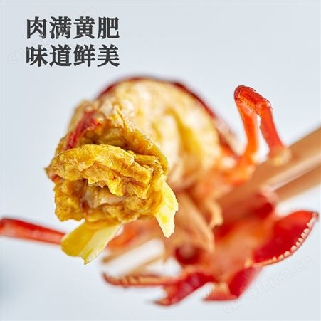【第二件半价】2022新虾麻辣小龙虾蒜蓉十三香整虾加热即食1000g