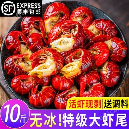 福茹洲龙虾尾冷冻市场鲜活去头海鲜麻辣龙虾整箱10斤装（无冰）
