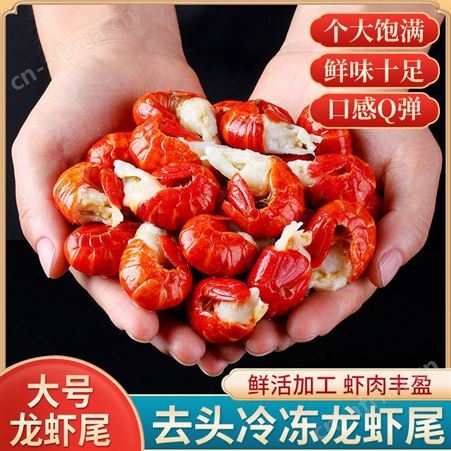 小龙虾尾特大号无冰5鲜活整箱1斤10斤商用冷冻虾跨境独立站