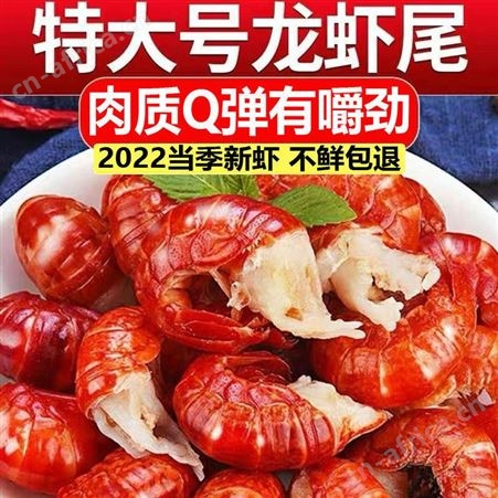 荆门产特大龙蝦尾无冰衣龙虾尾冷冻鲜活速冻熟冻虾球麻辣小龙虾