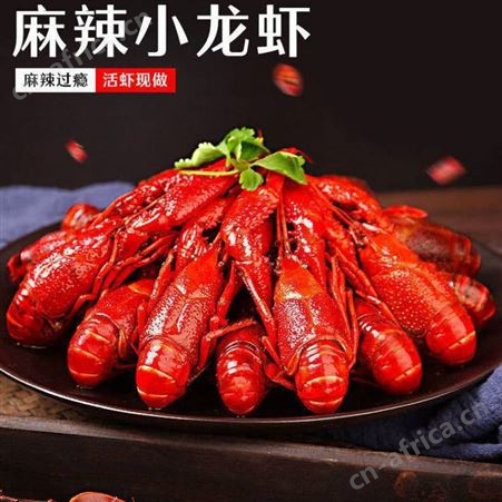 麻辣小龙虾香辣熟食鲜活烧制即食小龙虾真空包装大号龙虾750g盒装性价高