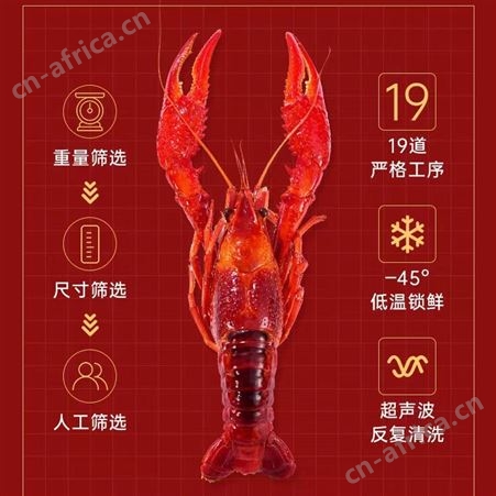 盱眙麻辣小龙虾即食龙虾尾虾球冷冻生鲜蒜蓉小龙虾炸虾半成品醉虾挺值