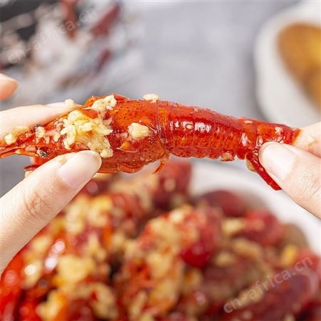 顺丰空运潜江小龙虾楚虾王整虾麻辣蒜蓉小龙虾蒜蓉新鲜即食