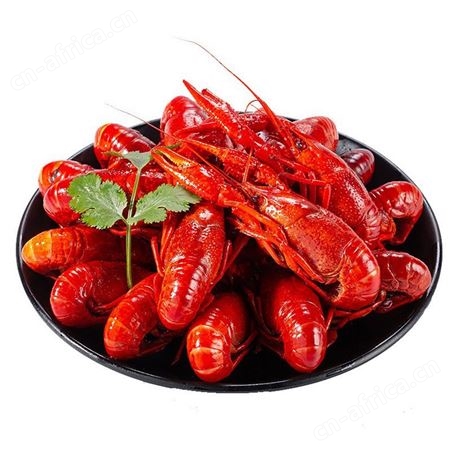 御鲜锋今年新虾个大肉多加热即食麻辣小龙虾700g蒜香十三香好包邮