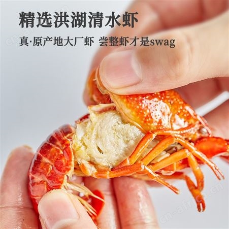 【第二件半价】2022新虾麻辣小龙虾蒜蓉十三香整虾加热即食1000g
