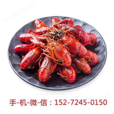 德炎麻辣小龙虾速冻调味小龙虾加热即食3-5钱/只 800克/盒 冷冻