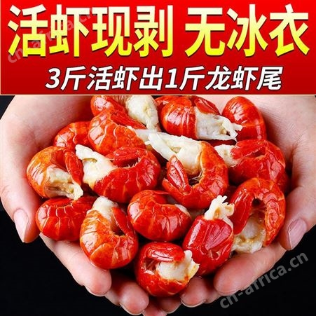 虾尾【特大号无冰】小龙虾小龙虾5鲜活整箱1斤10斤商用冷冻