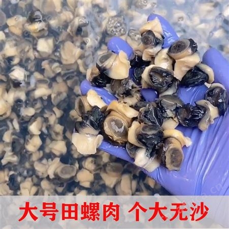 大号田螺肉螺蛳肉新鲜螺肉现挑螺丝肉真空包装田螺500g1斤包