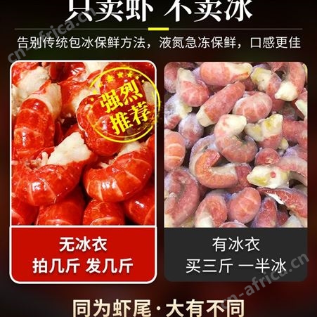 小龙虾尾冷冻生鲜无冰衣麻辣龙虾尾鲜活大号10斤整箱商用虾球