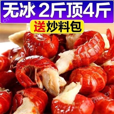 荆门产特大龙蝦尾无冰衣龙虾尾冷冻鲜活速冻熟冻虾球麻辣小龙虾