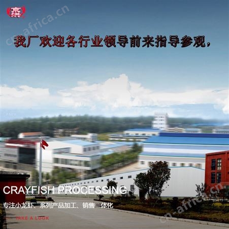 优质鲜活厚壳田螺泥螺生鲜水产养殖湖泊现捞现卖龙虾大闸蟹等都有