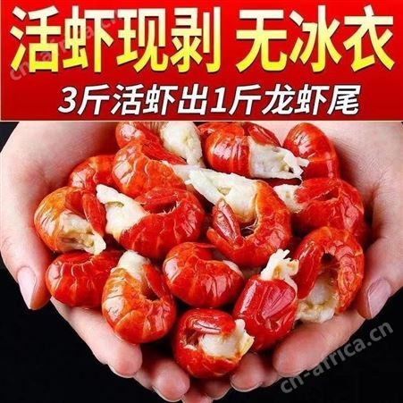 特大龙虾尾无冰衣尾巴鲜活速冻熟冻尾虾球麻辣小