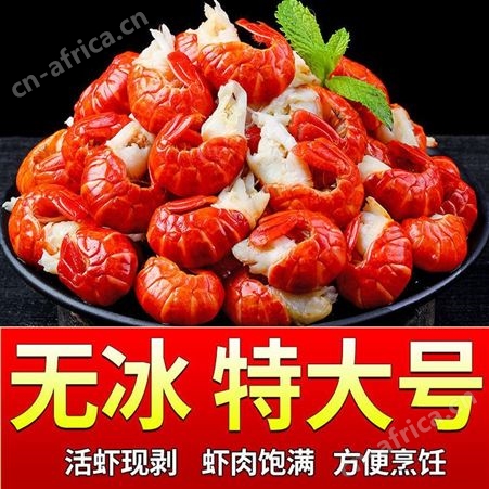 龙虾尾特大特大号无冰小龙虾小龙虾5鲜活1斤10斤商用冷冻虾