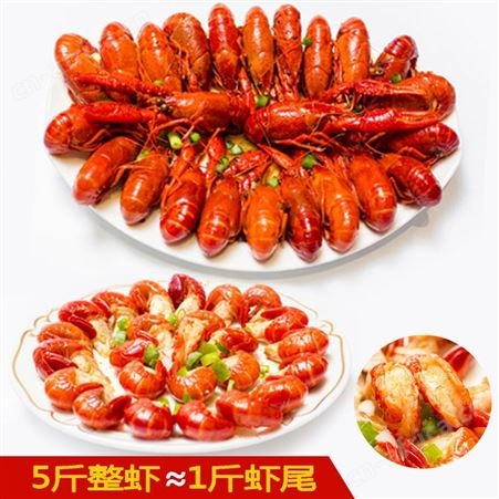 小龙虾即食麻辣尾250g熟食冷冻加热盒装整箱海鲜非鲜活大号虾网红