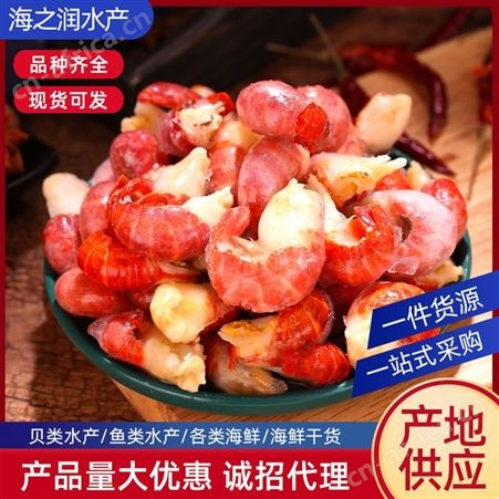 供应2022新货龙虾尾冷冻麻辣小龙虾尾鲜活龙虾尾
