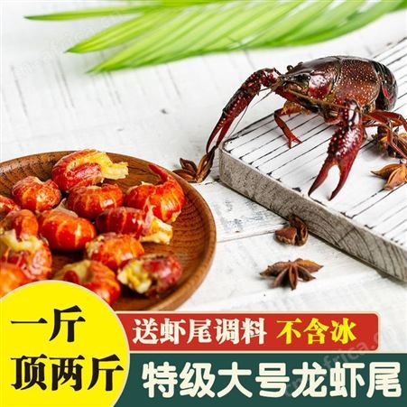 龙虾尾新鲜冷冻鲜活速冻大号麻辣小龙虾尾去壳无冰一整箱性价高
