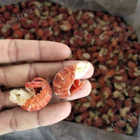 新鲜龙虾尾冷冻无冰衣整箱特大号麻辣商用顺丰包邮送酱料小龙虾尾