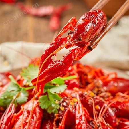 品珍鲜活御鲜锋麻辣小龙虾3-5钱大虾净重700g20-25只养殖湖现捞虾