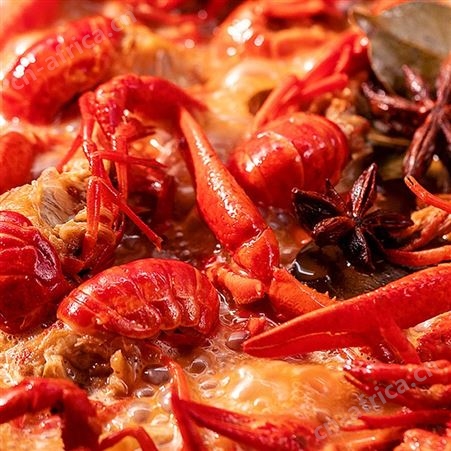 国联麻辣小龙虾750g4-6钱18-24只大号非龙虾尾加热即