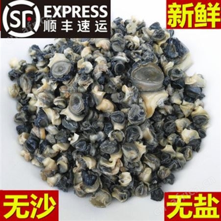 【顺丰】正宗田螺肉中号螺蛳粉配料螺丝肉新鲜螺蛳肉500g