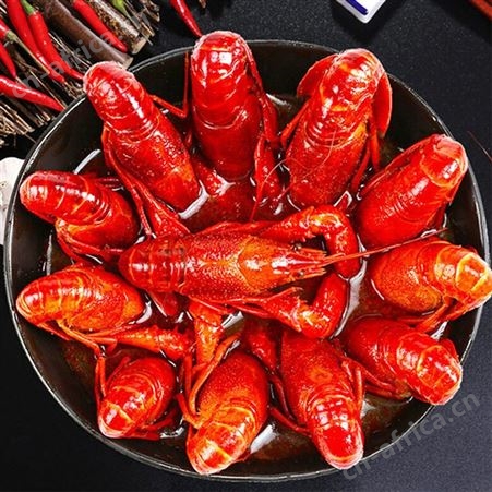 大量发布即食麻辣小龙虾尾新鲜海鲜熟食网红小零食精选虾球下酒菜
