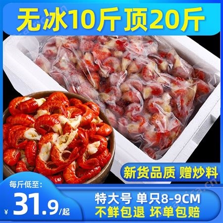 龙虾尾冷冻生鲜特大级无冰衣商用整箱10斤小龙虾尾大号生虾球
