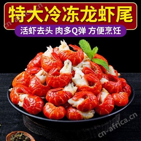 美国进口电子天平
