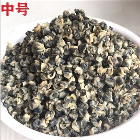 橙臻鲜田螺肉洪泽湖现挑新鲜螺肉螺蛳肉螺丝肉真空包装小螺蛳肉1斤装
