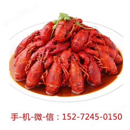 红太子麻辣小龙虾尾怎么做好吃即食加热潜江大号虾球香辣冷冻熟食