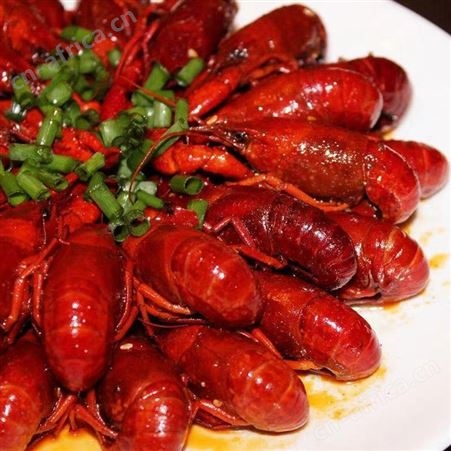 莱克麻辣蒜香小龙虾700g盒装加热即食麻小半成品熟食商用真空