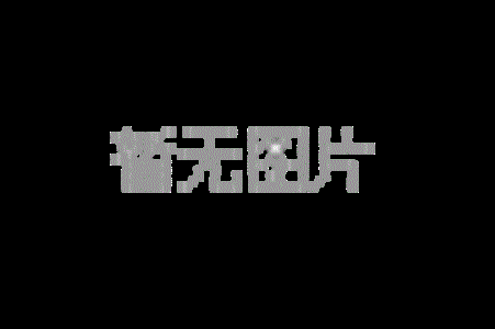 YW200GA10精密电控角位台