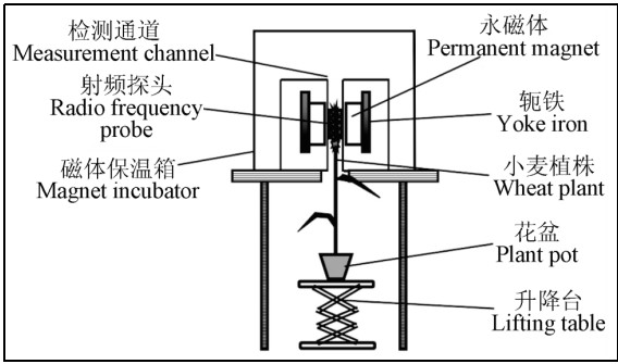水稻籽粒灌浆过程-低场核磁法研究 水稻籽粒灌浆过程-低场核磁法研究